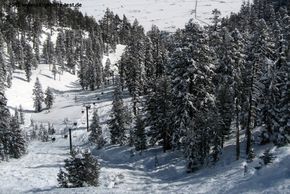 Backcountry at Mott Canyon.