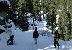 Information about the ski resort Heiligenschwendi