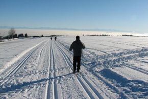 Information about the ski resort Herrischried