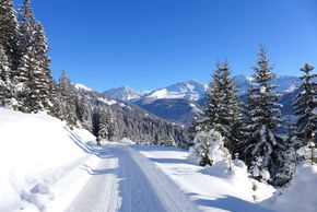Information about the ski resort Hochwang