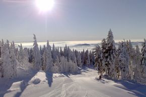 Information about the ski resort Hochficht