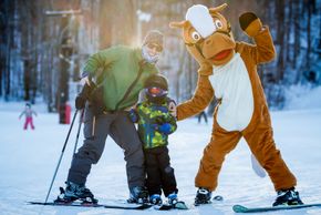 Information about the ski resort Horseshoe Resort