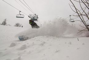 Information about the ski resort Horseshoe Resort