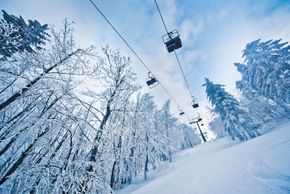 Information about the ski resort Javornik