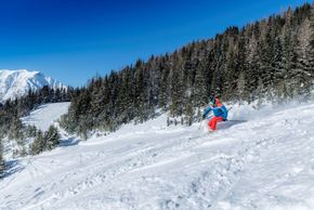 Information about the ski resort Karwendelbahn Pertisau at Lake Achensee