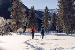 Information about the ski resort Karwendelbahn Pertisau at Lake Achensee