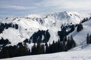 Information about the ski resort Kitzbühel