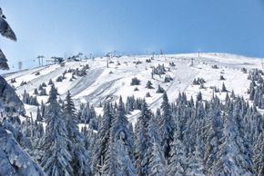 Information about the ski resort Kopaonik