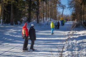 Information about the ski resort Großer Kornberg