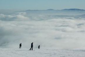 Information about the ski resort Jaworzyna Krynicka