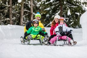 Information about the ski resort Ladurns