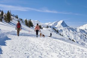 Information about the ski resort Betelberg Lenk