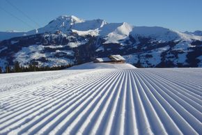 Information about the ski resort Betelberg Lenk