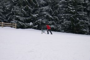 Information about the ski resort Les 7 Laux