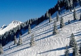 Information about the ski resort Les Paccots