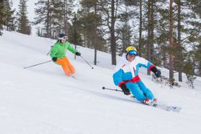 Information about the ski resort Levi