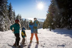 Information about the ski resort Feldberg