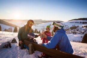Information about the ski resort Feldberg