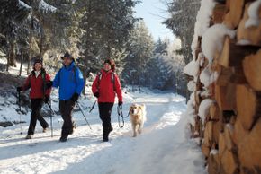 Information about the ski resort Löffingen - Dittishausen