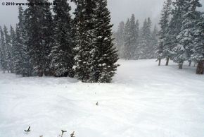 The Excelleration run.