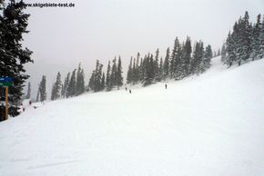 Cat Walk and Richard's Run.