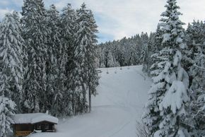 Information about the ski resort Paganella
