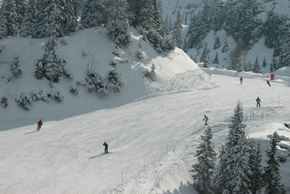 Information about the ski resort Paganella