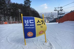 Information about the ski resort Phoenix Park