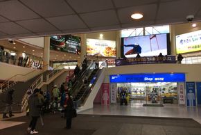 Information about the ski resort Phoenix Park