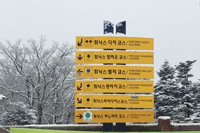 Information about the ski resort Phoenix Park