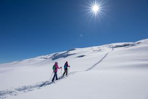 Information about the ski resort Pizol