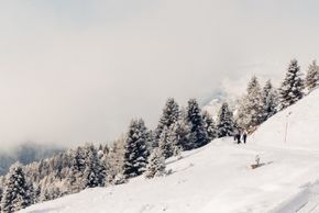 Information about the ski resort Plose Brixen