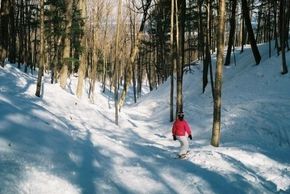 Information about the ski resort Porcupine Mountain