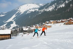 Who's in for some cross-country skiing?