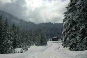 Information about the ski resort Rüschegg Eywald