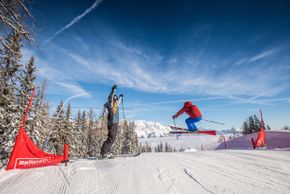 Information about the ski resort Reiteralm Schladming