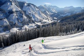 Information about the ski resort Riesneralm