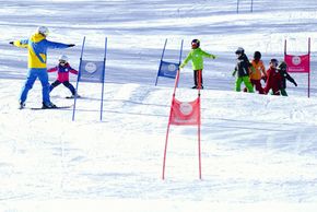 Information about the ski resort Riesneralm