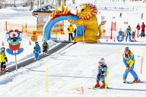 Information about the ski resort Riesneralm