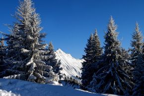 Information about the ski resort Rochers de Naye Caux