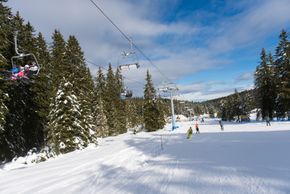 Information about the ski resort Rogla