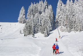Information about the ski resort St Jakob im Walde