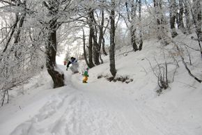 Information about the ski resort Stara Planina