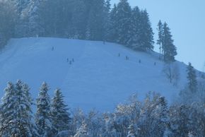 Information about the ski resort Steg
