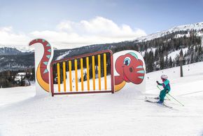 Information about the ski resort Steinplatte – Winklmoosalm