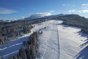 Information about the ski resort Steinplatte – Winklmoosalm
