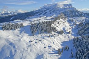 Information about the ski resort Steinplatte – Winklmoosalm
