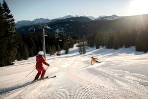 Information about the ski resort Steinplatte – Winklmoosalm