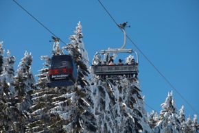 Information about the ski resort Sternstein Lifte