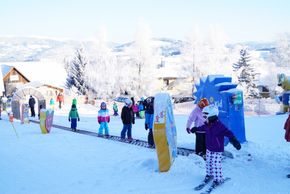 Information about the ski resort Strallegg Joglland